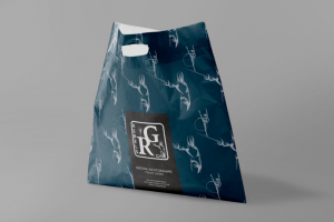 Логотип для школы фехтования