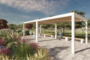 Проект благоустройства и озеленения школы