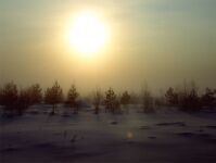img2282005.png