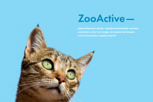 Сайт для ветеринарной клиники