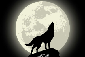 Переработка лого для компании "Акелла"