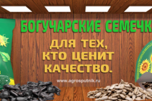 Наклейка на кузов авто