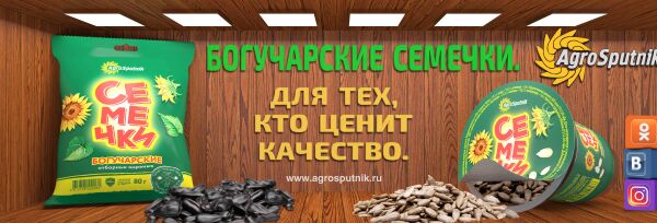 img3492590.png