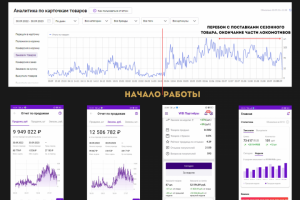Кейс 6 месяцев