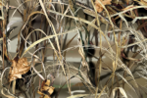 Работа 1270758