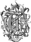 img12507.png