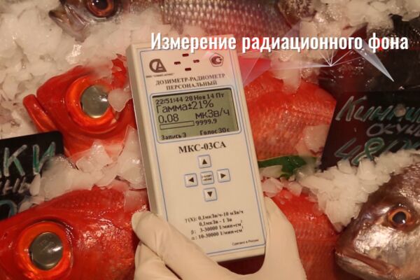 img3771435.png