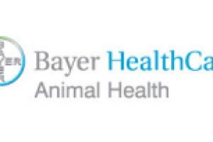 Редизайн сайта Bayer Animalhealth