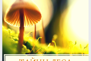 Баннеры для постов в соц.сети