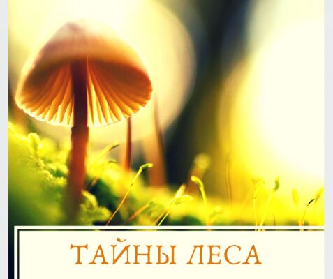 img3525954.png