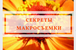 Баннеры для постов в соц.сети