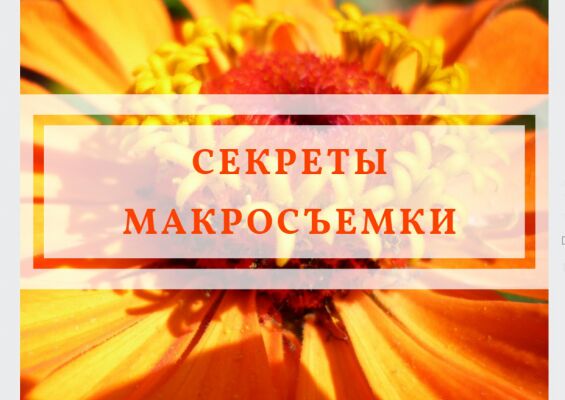 img3525953.png