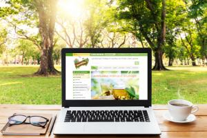 ДокторДом - Интернет-магазин «Травы Кавказа» и «Травы Кубани»