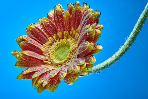 Работа 3575153