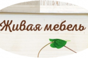 Мебель - описание