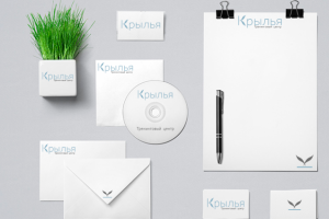 Пример фирменного стиля