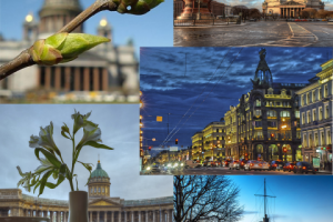 Коллаж СПб