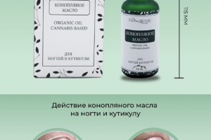 Инфографика