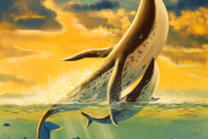 Киты, рыбы, море