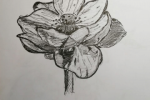 Работа 4087842