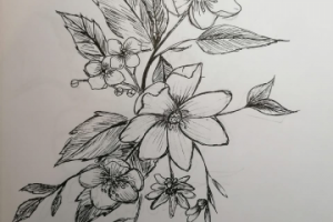 Работа 4087841