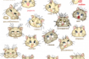 Эмоции кошки