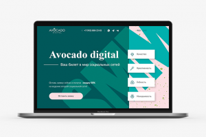 SMM агенство «Avocado»