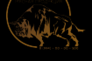 Логотип для мясной компании Бизон