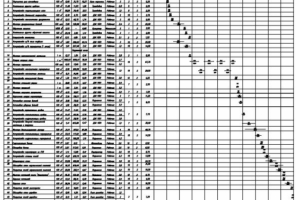 Календарный план строительства