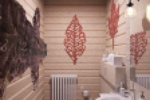 Баня. Санузел