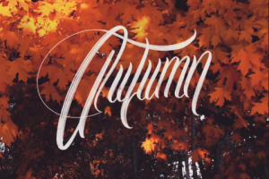 Работа 3883040