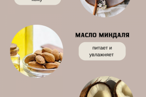 Инфографика