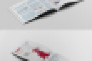 Презентация с инфографикой