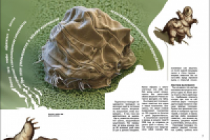 разворот научно-популярного журнала