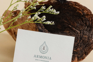 ARMONIA.Разработка логотипа салона красоты.