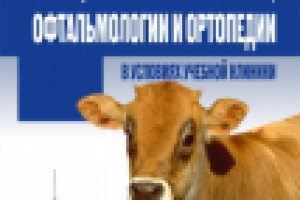 Работа 2206629