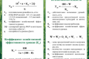 Работа 2583689