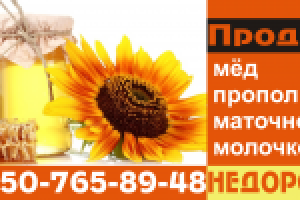 Работа 2254742