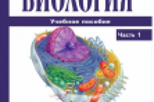 Работа 2206644