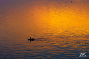 Река и рыбак в отражении закатного неба