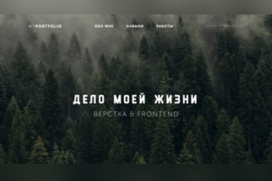 Дело моей жизни