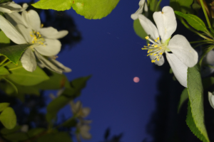 Работа 4150761