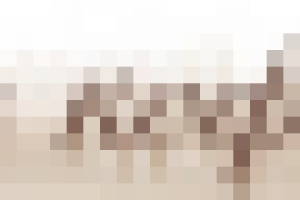 Проект Интеллектуальный кофе