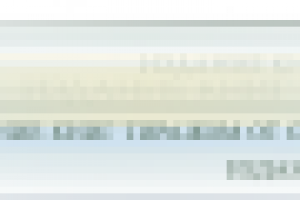 Сайт БонАнцы