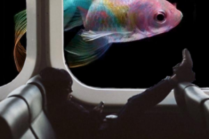 Реальность