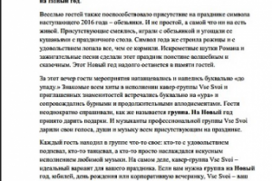 Новый год в Шале Березка