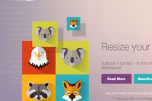 Thumber (под ключ)