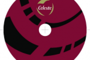 Диайн диска