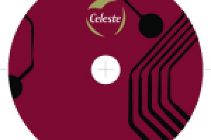 Диайн диска