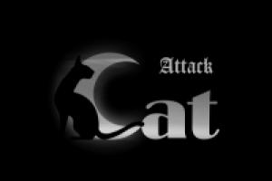 Cat Attack